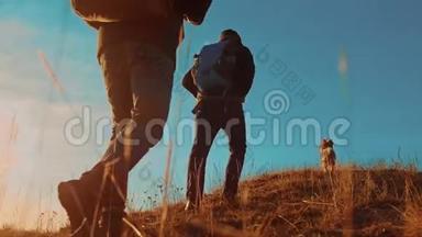 团队合作。 两名游客徒步旅行者在日落时带着背包去徒步旅行。 徒步旅行者的冒险和狗的生活方式